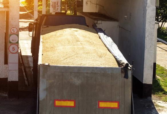 Papildinās kārtību graudu transportlīdzekļu kustībai uz ostu ražas novākšanas laikā