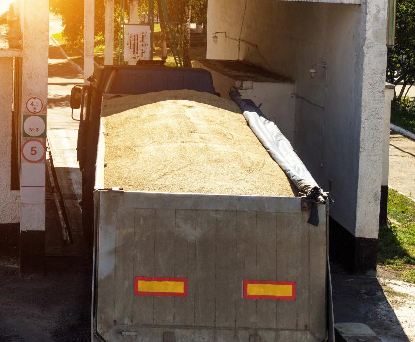 Papildinās kārtību graudu transportlīdzekļu kustībai uz ostu ražas novākšanas laikā